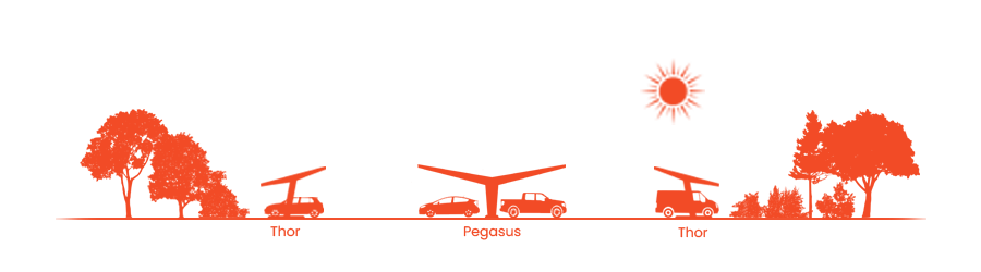 Graphic-Line-Orange-Pegasus-Thor-Trans